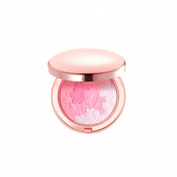 Румяна с эффектом сияния 01 Radiance Blusher 01
