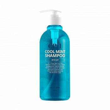 Освежающий шампунь с ментолом для проблемной кожи головы Head Spa Cool Mint Shampoo