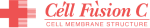 Cell Fusion C Cell Fusion C
